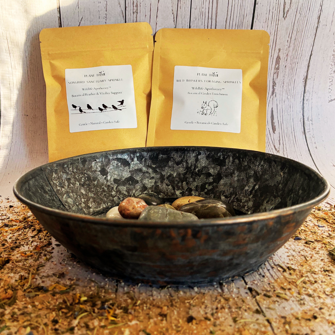 Thyme for Wildlife- Living Garden Bundle