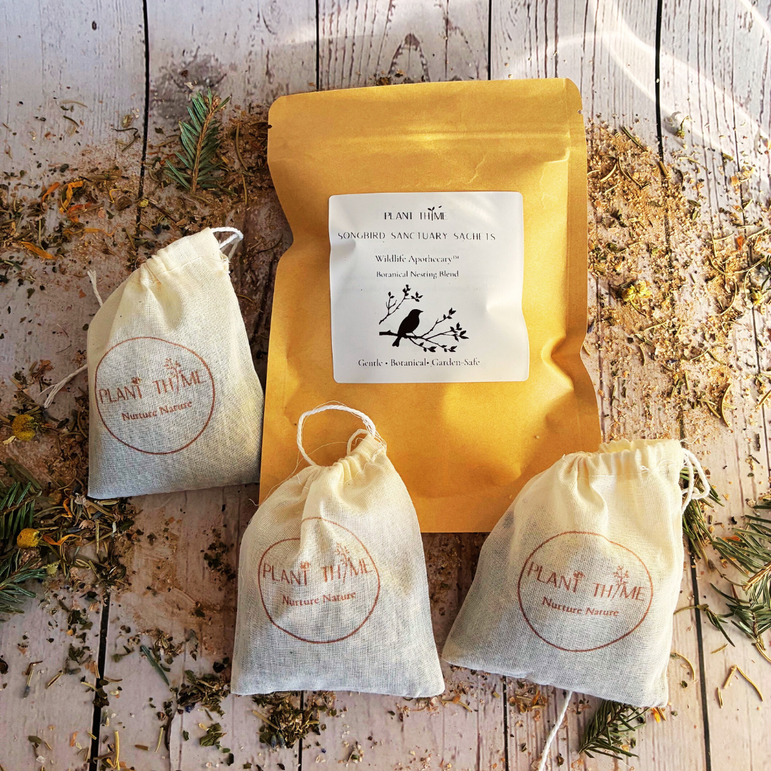 Songbird herbal garden sprinkle with fennel see, elderberry and hibiscus for backyard pollinator garden, eco-friendly gardening