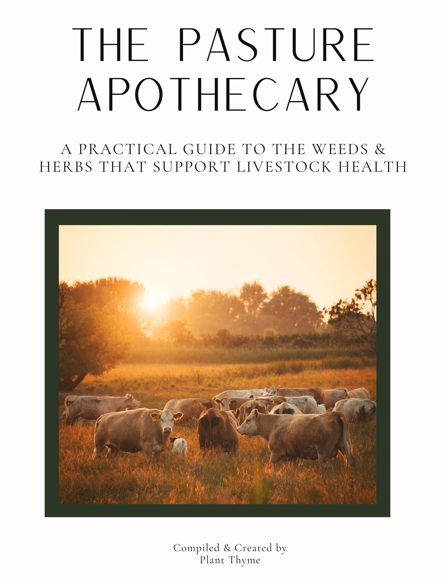 Pasture Apothecary™ — A Practical Guide to Weeds & Herbs for Livestock Wellness (Digital Download)