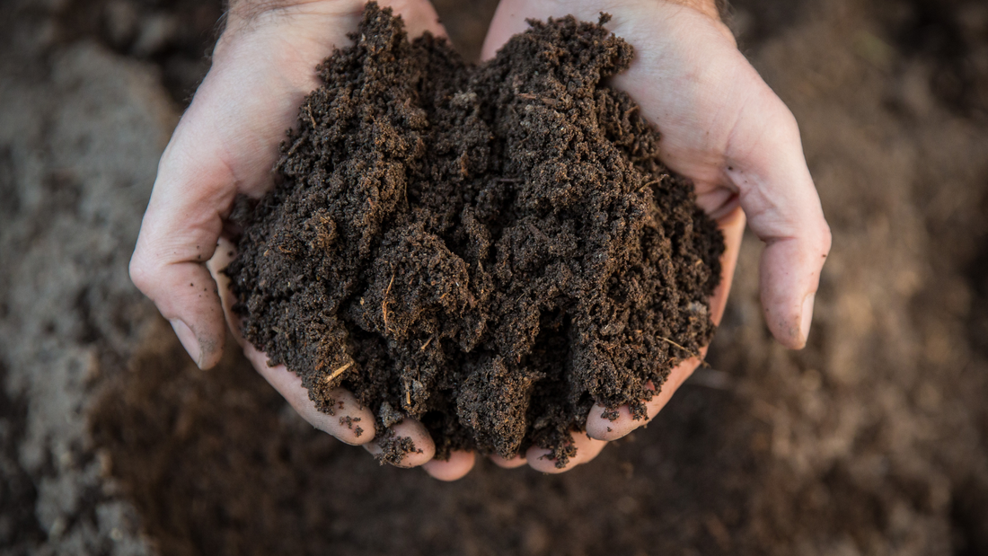 Simple way to create a backyard compost and transform into nutrient rich soil