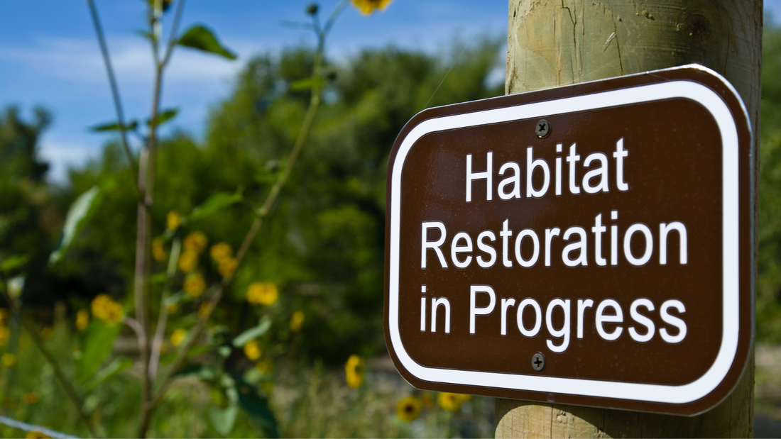 creating a pollinator habitat sign for a pollinator friendly garden