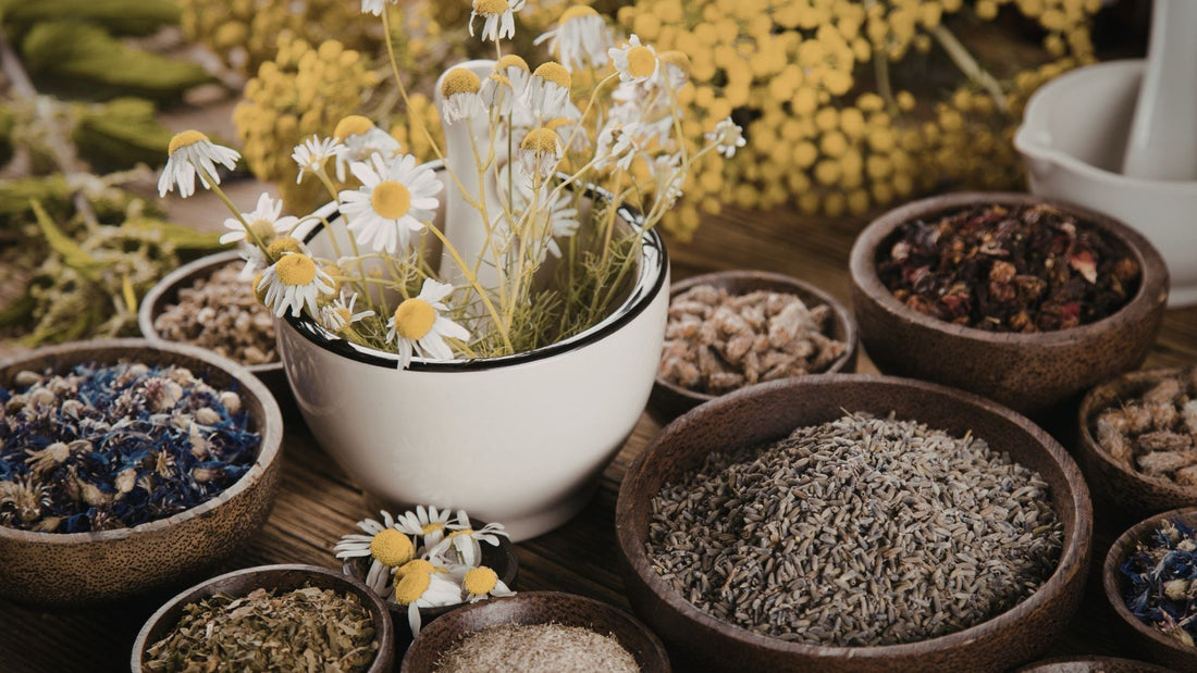 herbs for skincare, pollinator friendly herbs for glowing skin