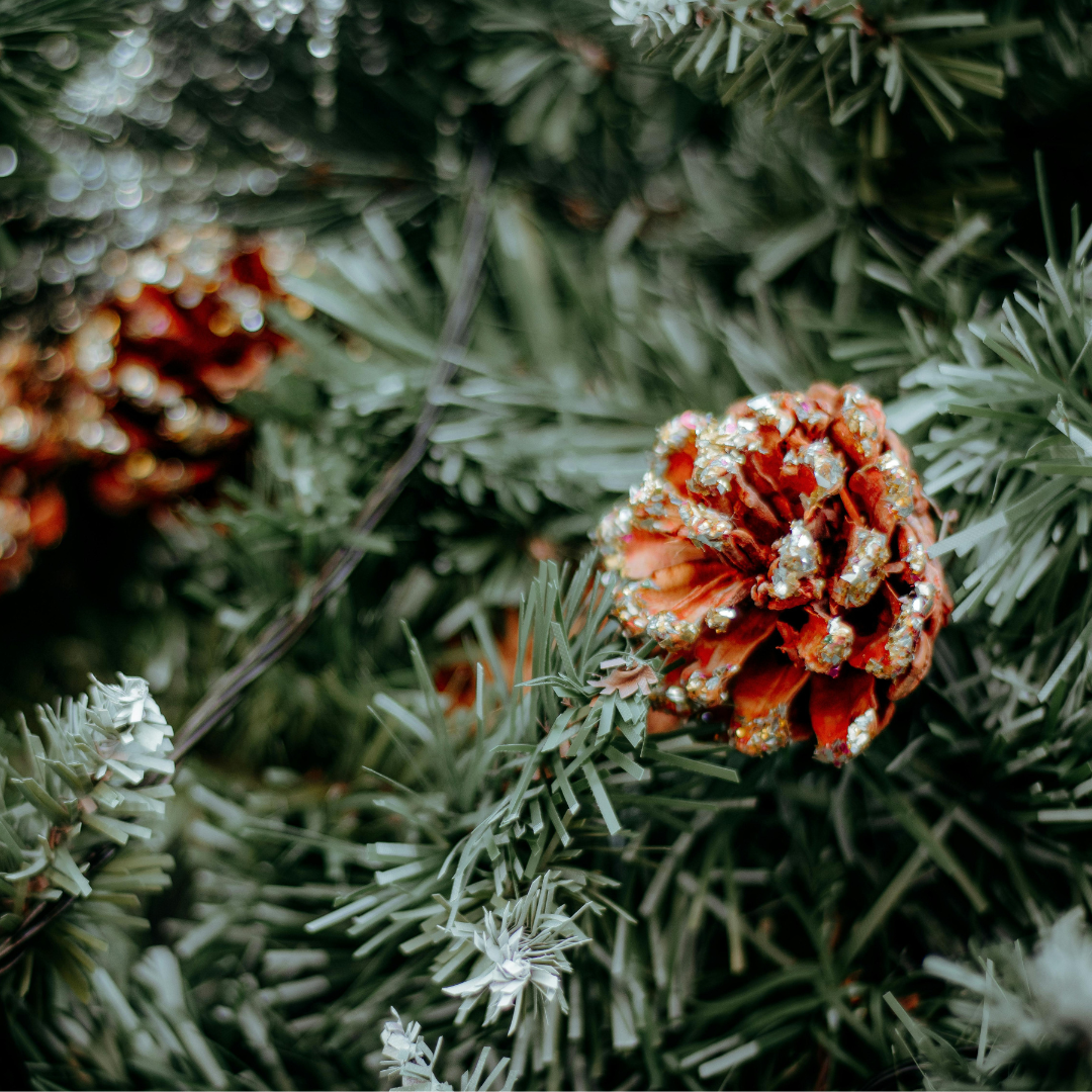 Evergreen shrubs supporting wildlife year round