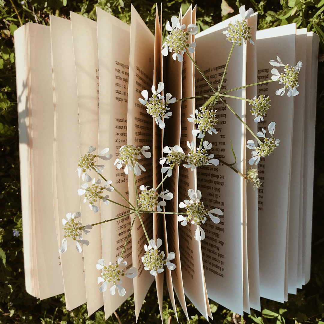 stacked books in a garden