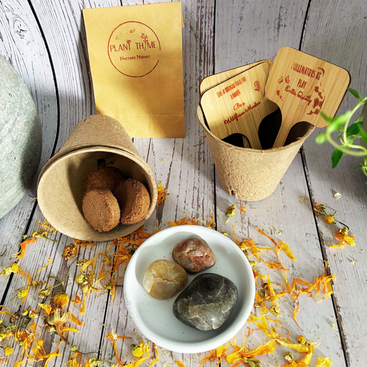 children's pollinator gift set with pollinator seed blend, biodegradable pots, plant tags and ceramic bee watering dish with river rock