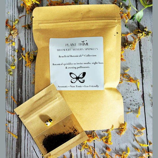 Plant Thyme evening pollinator Sprinkles packaging with white evening primrose seeds on a wooden surface with dried flowers for pollinator gardens