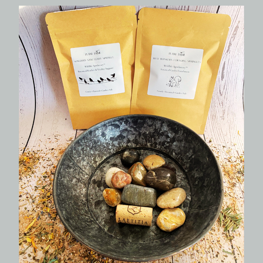 Thyme for Wildlife- Living Garden Bundle