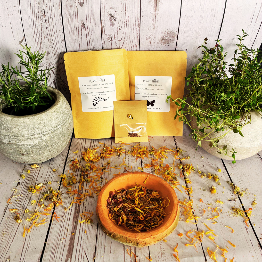 Flutter Friends™Butterfly Starter Kit