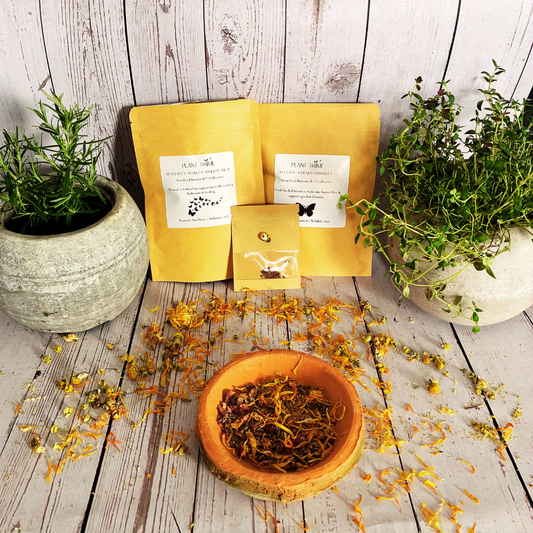 Flutter Friends™Butterfly Starter Kit