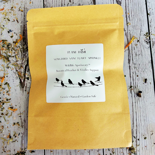 Songbird herbal garden sprinkle with fennel see, elderberry and hibiscus for backyard pollinator garden, eco-friendly gardening