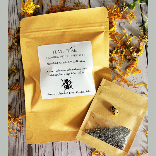 Plant Thyme beneficial insect/ladybug Sprinkles packaging with white evening primrose seeds on a wooden surface with dried flowers for pollinator gardens