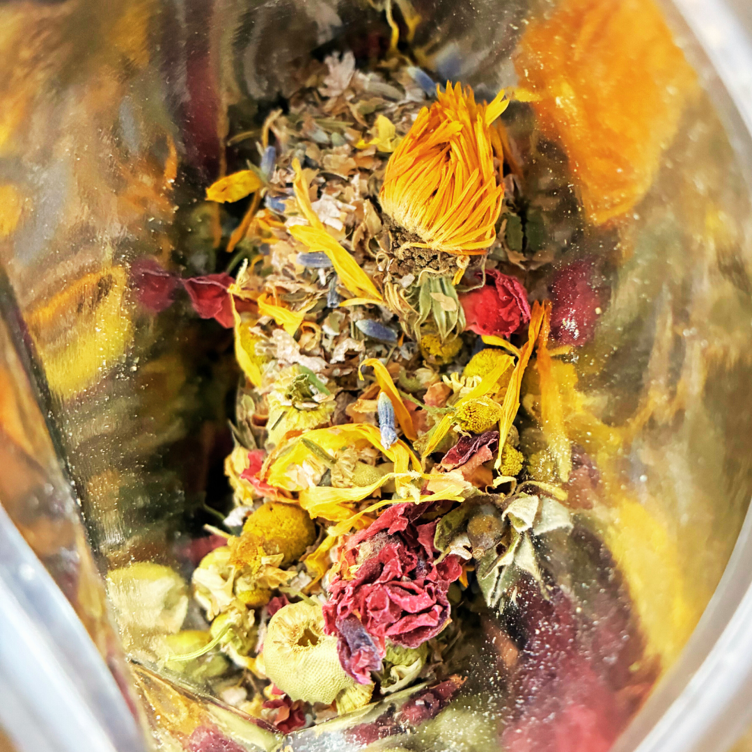 Flutter Friends™Butterfly Starter Kit